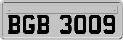 BGB3009