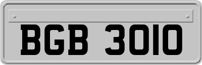 BGB3010