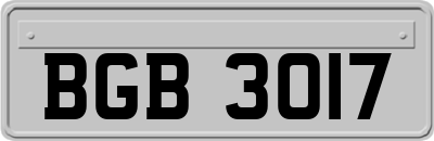 BGB3017