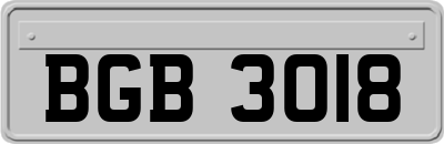 BGB3018