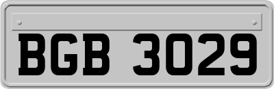BGB3029