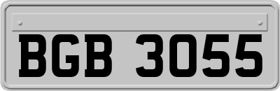 BGB3055