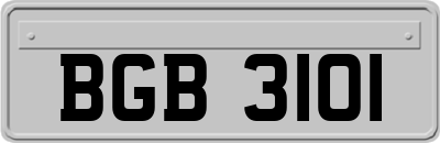 BGB3101