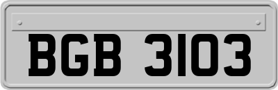 BGB3103
