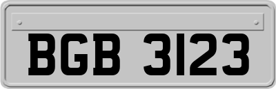 BGB3123
