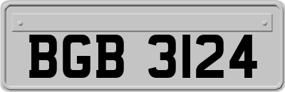 BGB3124