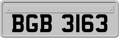 BGB3163