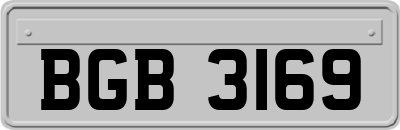 BGB3169
