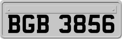 BGB3856
