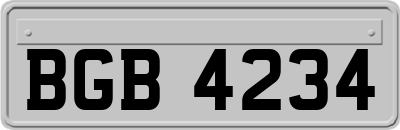 BGB4234