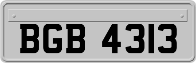 BGB4313