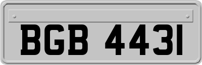 BGB4431