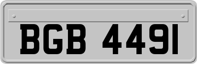 BGB4491