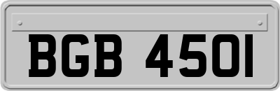 BGB4501