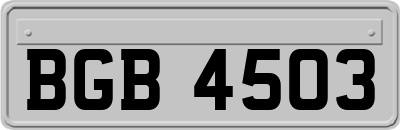 BGB4503