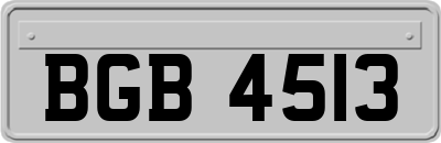BGB4513