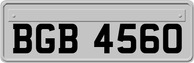 BGB4560