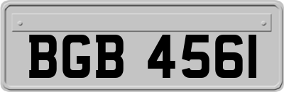 BGB4561