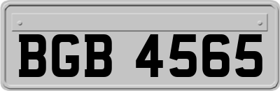 BGB4565