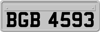 BGB4593