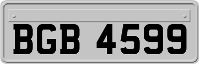 BGB4599