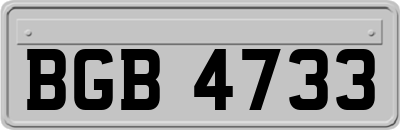 BGB4733