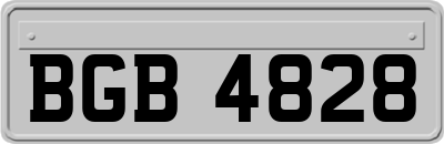 BGB4828