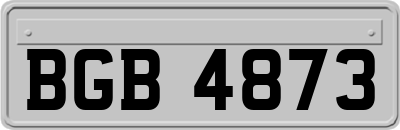 BGB4873