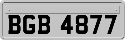 BGB4877