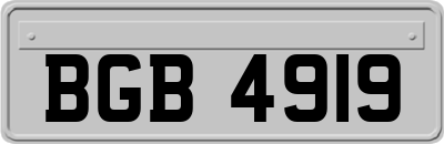 BGB4919