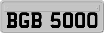 BGB5000