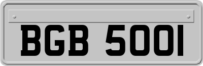 BGB5001