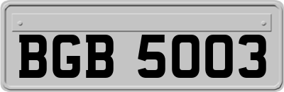 BGB5003