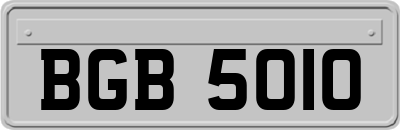 BGB5010