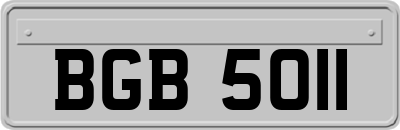 BGB5011