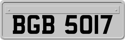 BGB5017