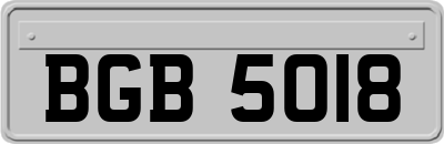 BGB5018