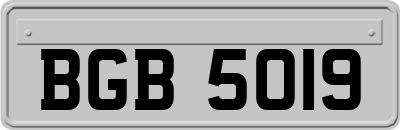 BGB5019