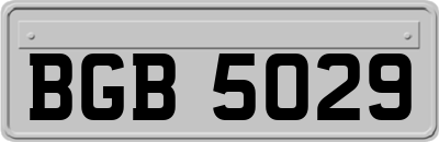 BGB5029