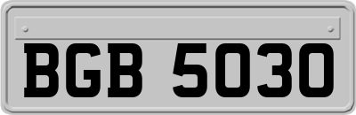 BGB5030