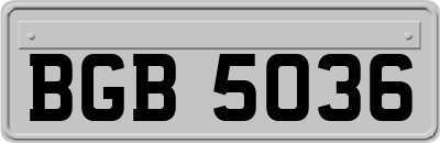 BGB5036