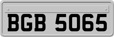BGB5065