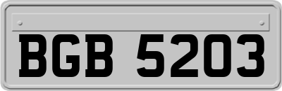 BGB5203