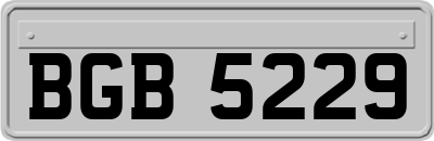 BGB5229