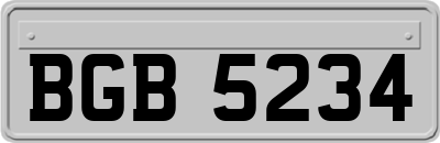 BGB5234