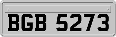 BGB5273
