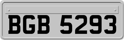 BGB5293