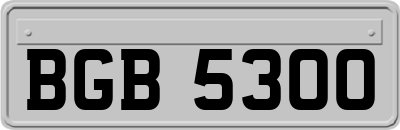 BGB5300