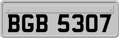 BGB5307