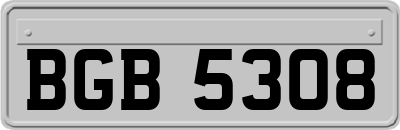 BGB5308